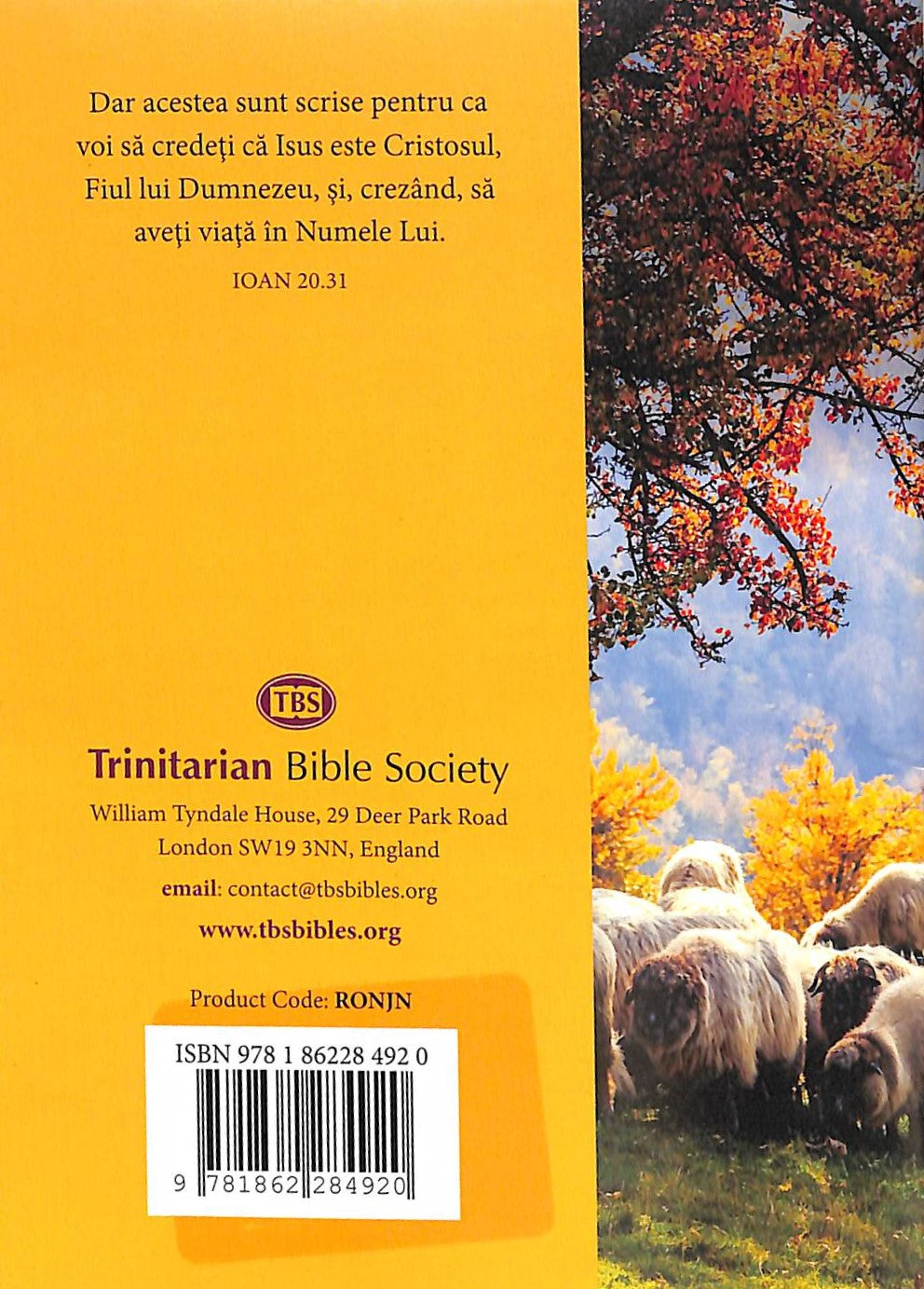 Page from the Romanian Gospel According to John Bible translation