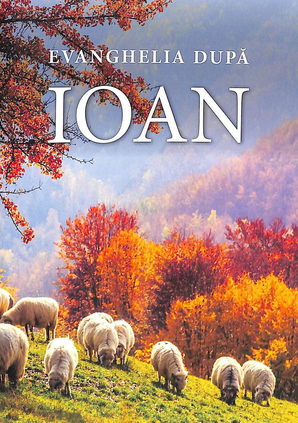 Romanian translation of the Gospel of John Bible