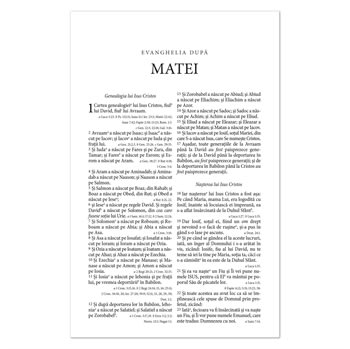 Global Language Bible Romanian with Large Print Black cover