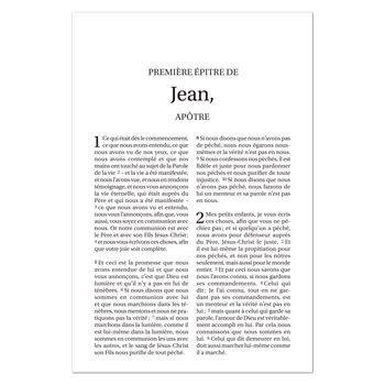 Blue French New Testament, a multilingual Bible collection for spiritual growth and understanding