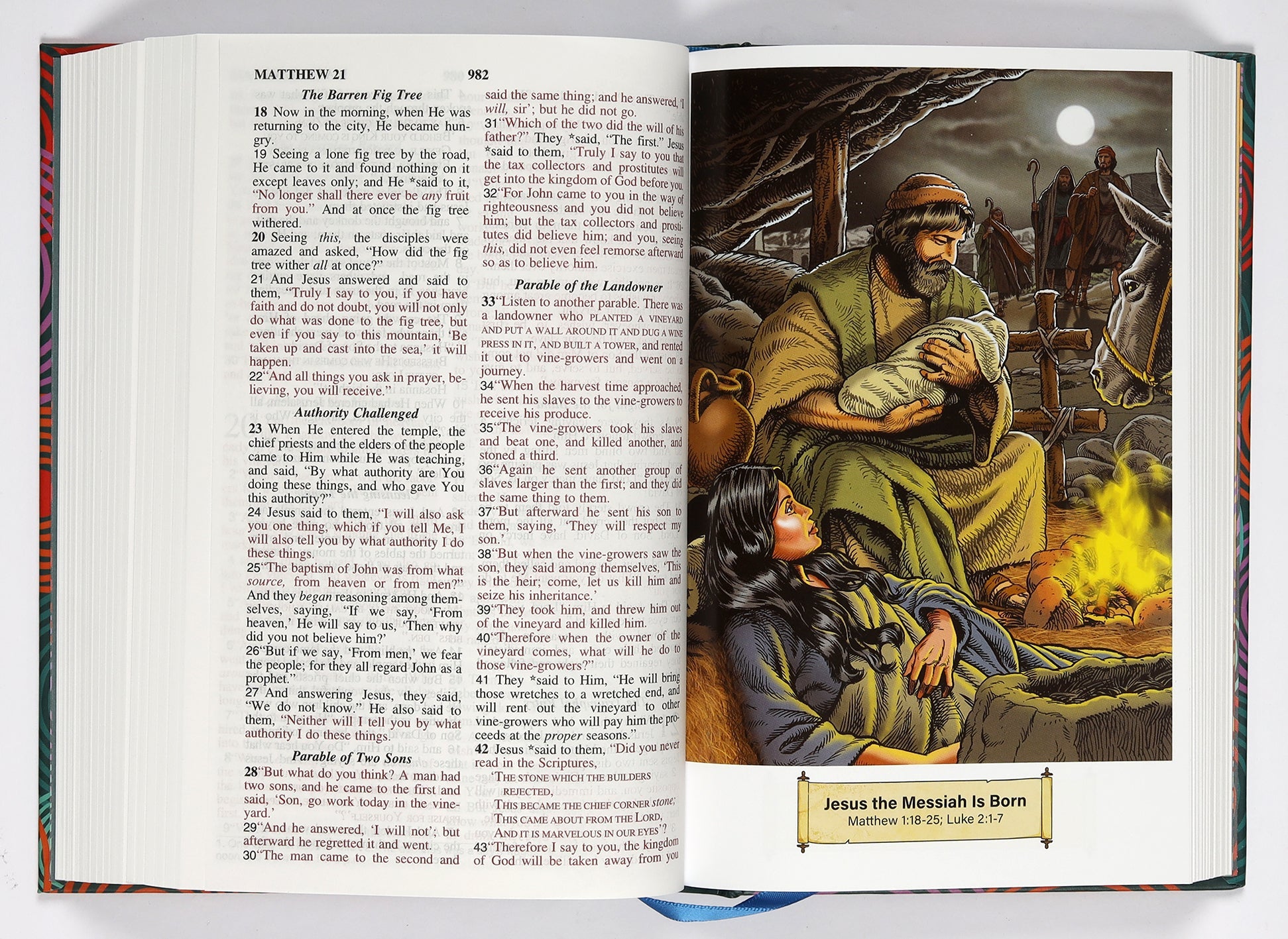 Back cover of the NASB Holy Bible Children's Edition (Red Letter Edition) for kids' Bible study