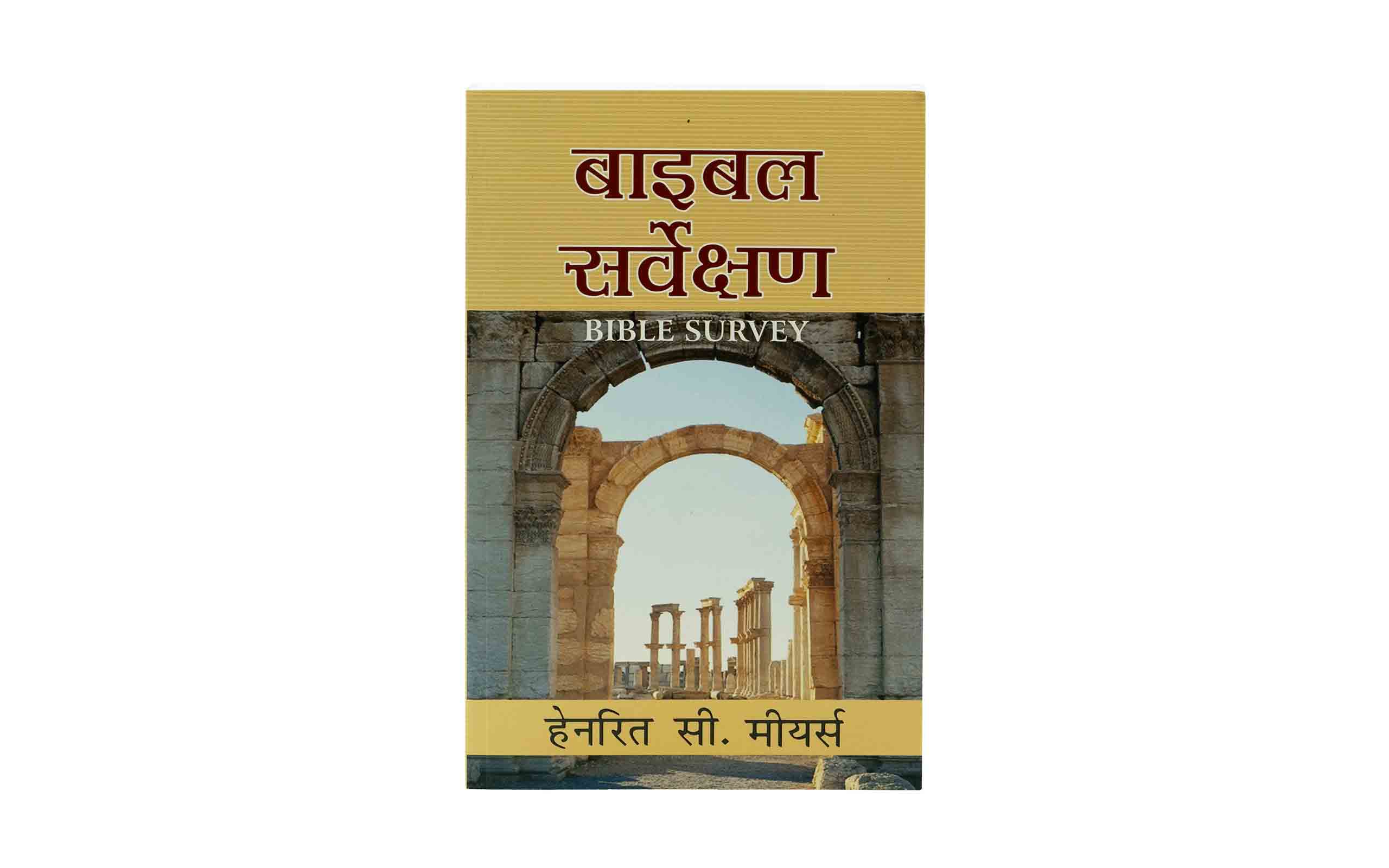 Bible Survey (Hindi)