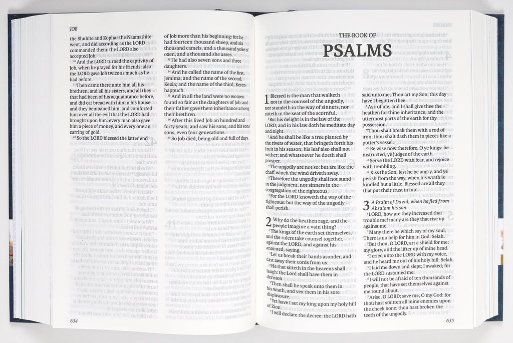 KJV the Illustrated Bible: A Visual Representation of the Christian Faith