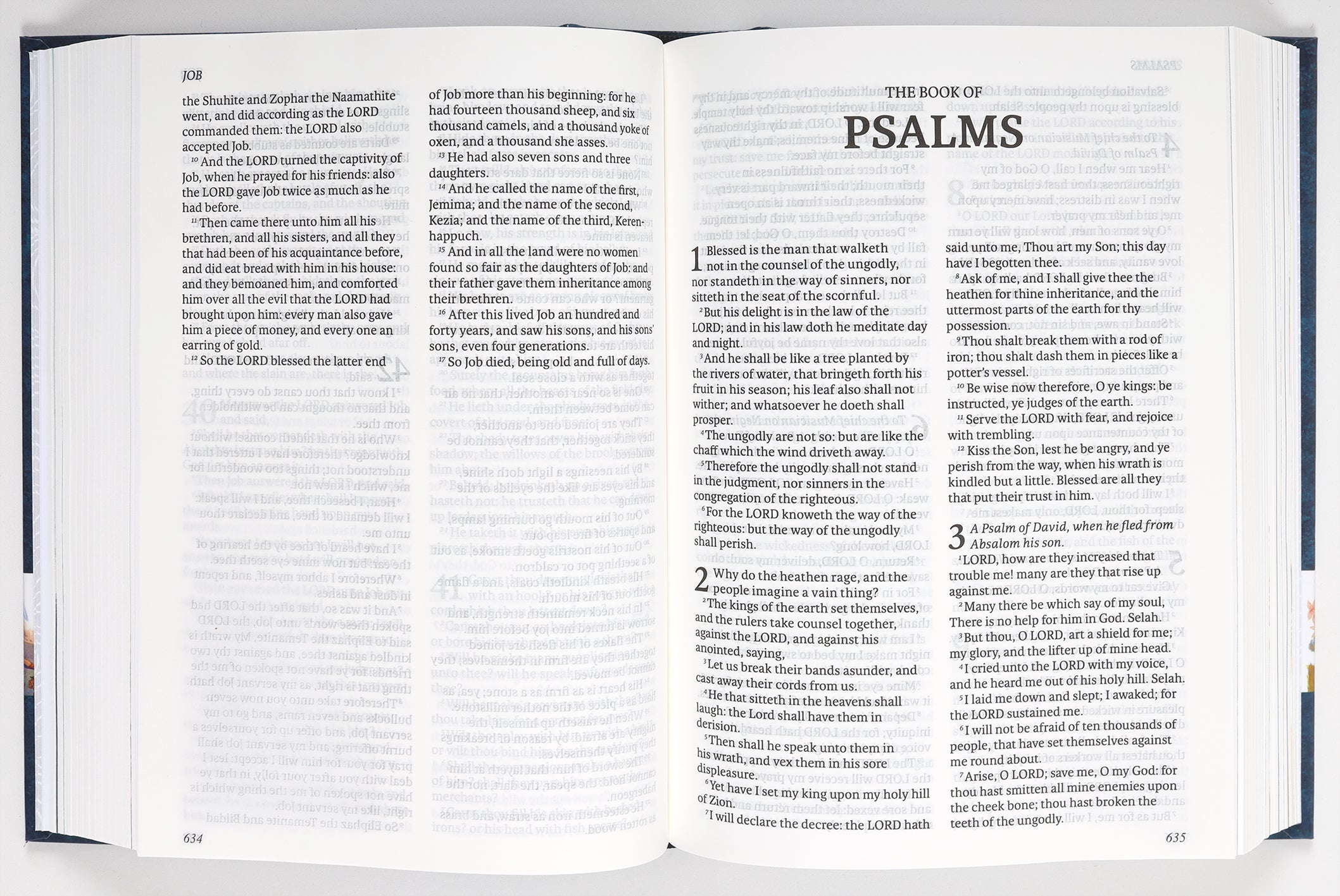 KJV the Illustrated Bible: A Visual Representation of the Christian Faith