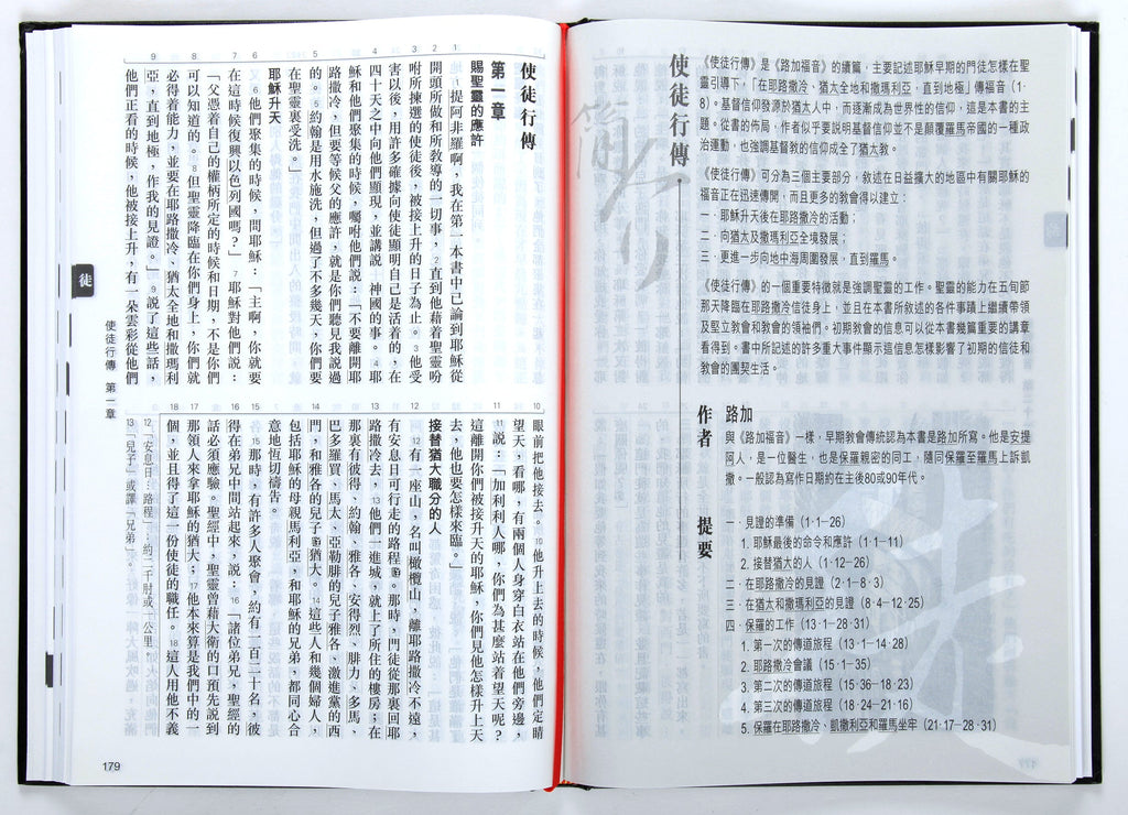 Rcuv New Testament Traditional Script Large Print Black
