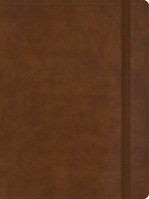 Reina Valera 1960 Personal Size Bible con edición de letras rojas en español.