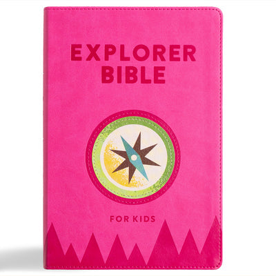 KJV Explorer Bible for Kids, Bubble Gum