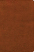CSB Giant Print Reference Bible, Digital Study Edition, Burnt Sienna (Red Letter Edition)