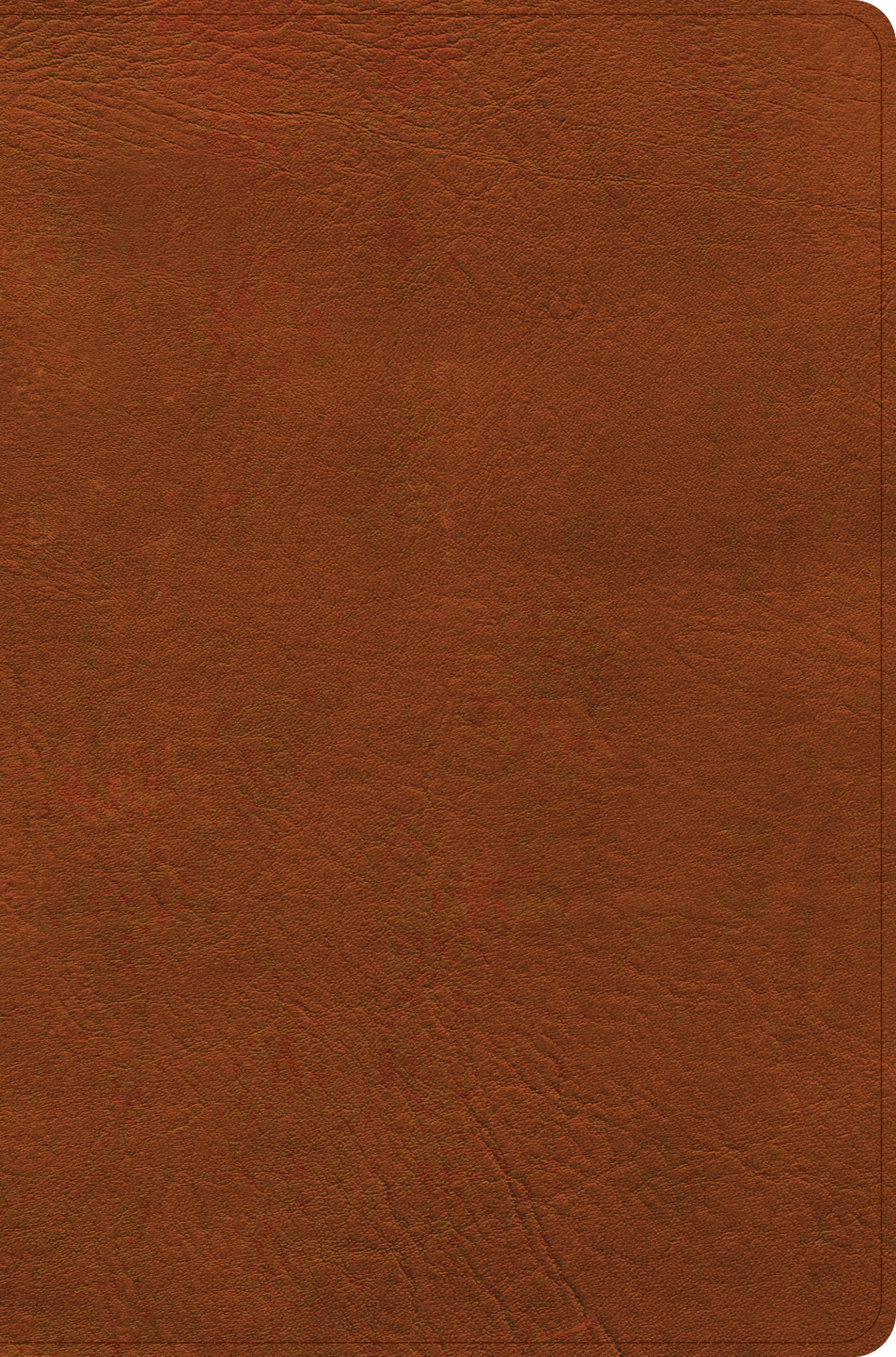 CSB Giant Print Reference Bible, Digital Study Edition, Burnt Sienna (Red Letter Edition)