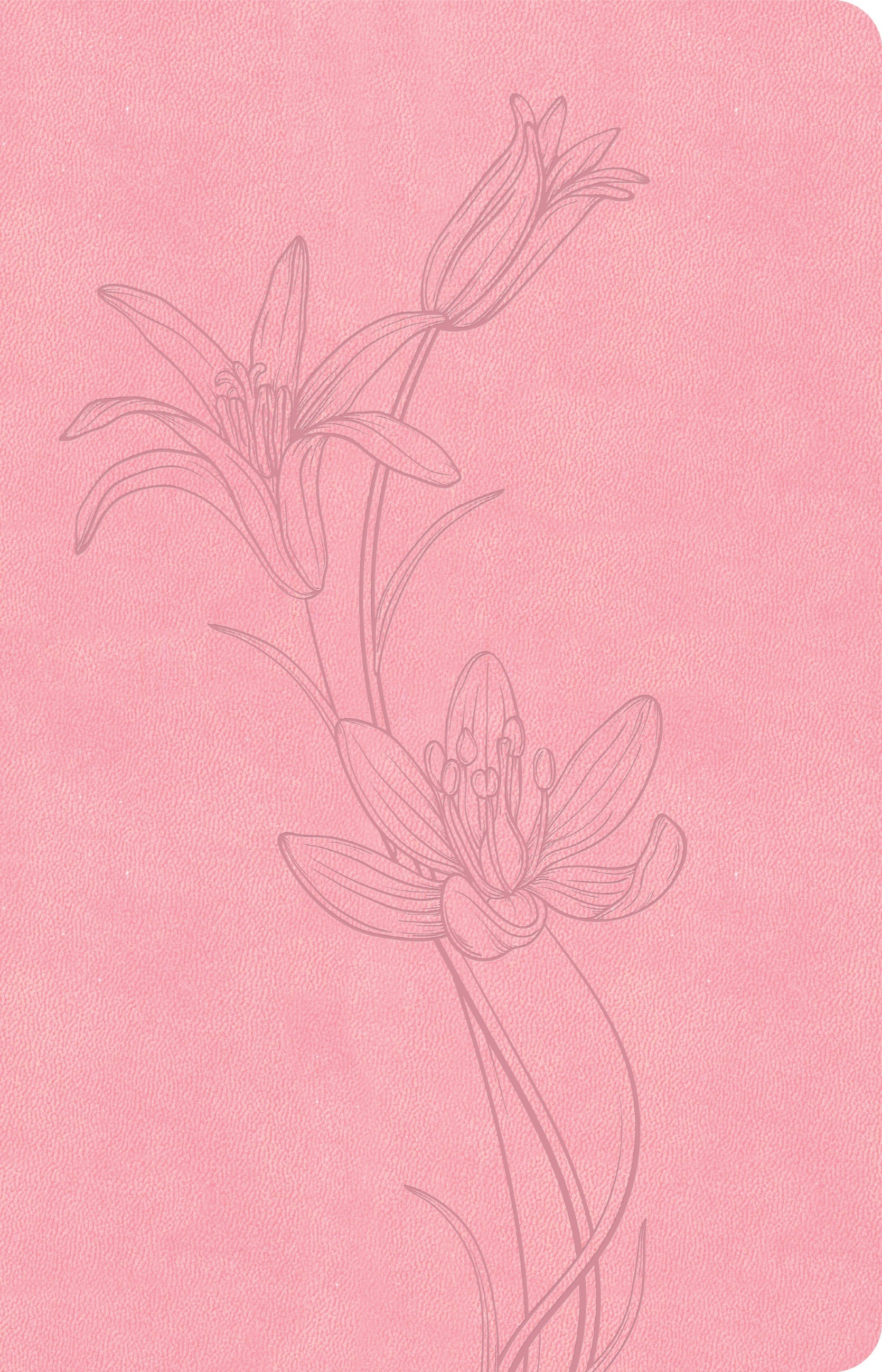 CSB Thinline Bible Value Edition, Soft Pink (Red Letter Edition)