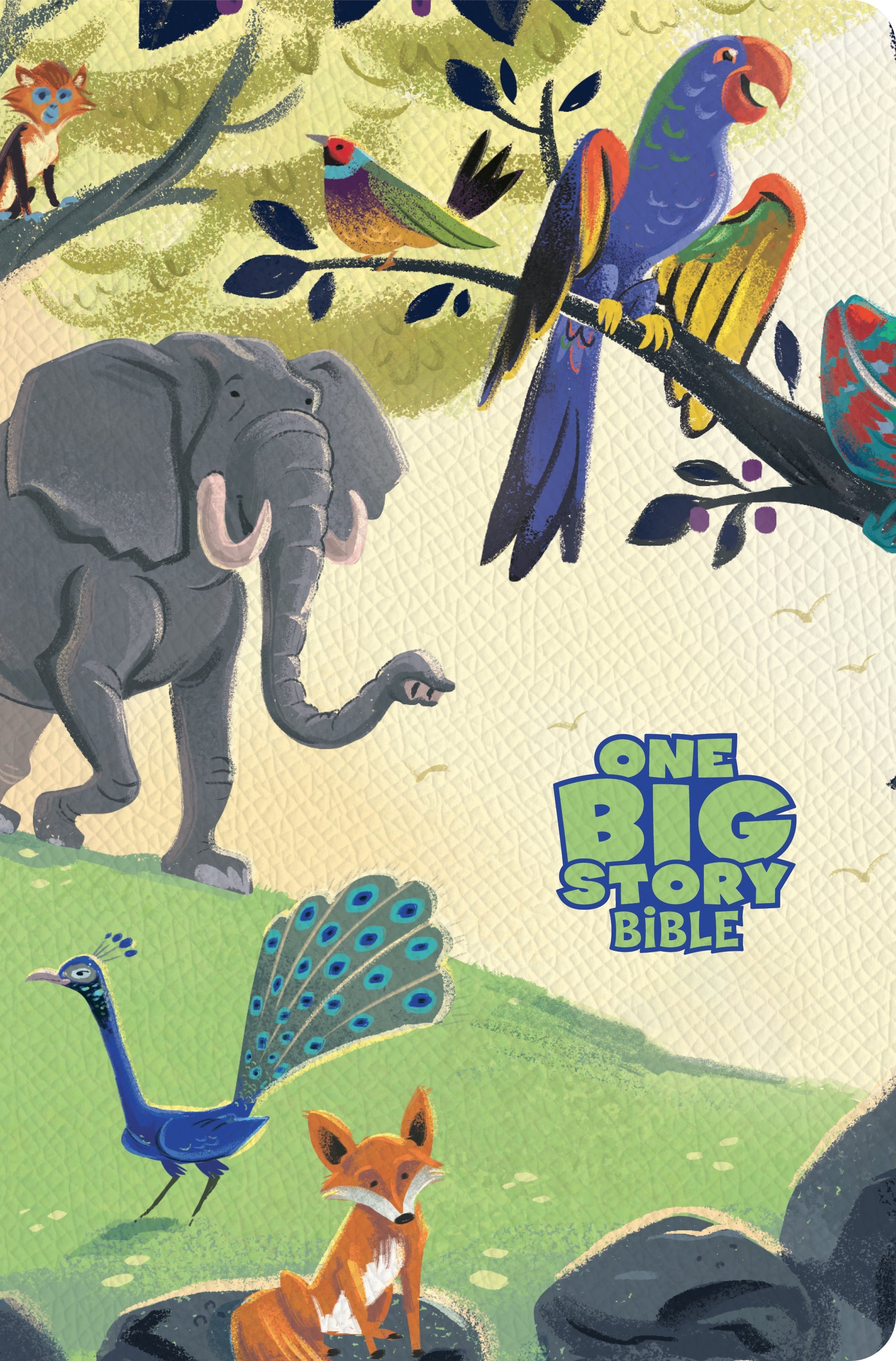 CSB One Big Story Bible, Creation (Red Letter Edition) Christian scripture and devotion