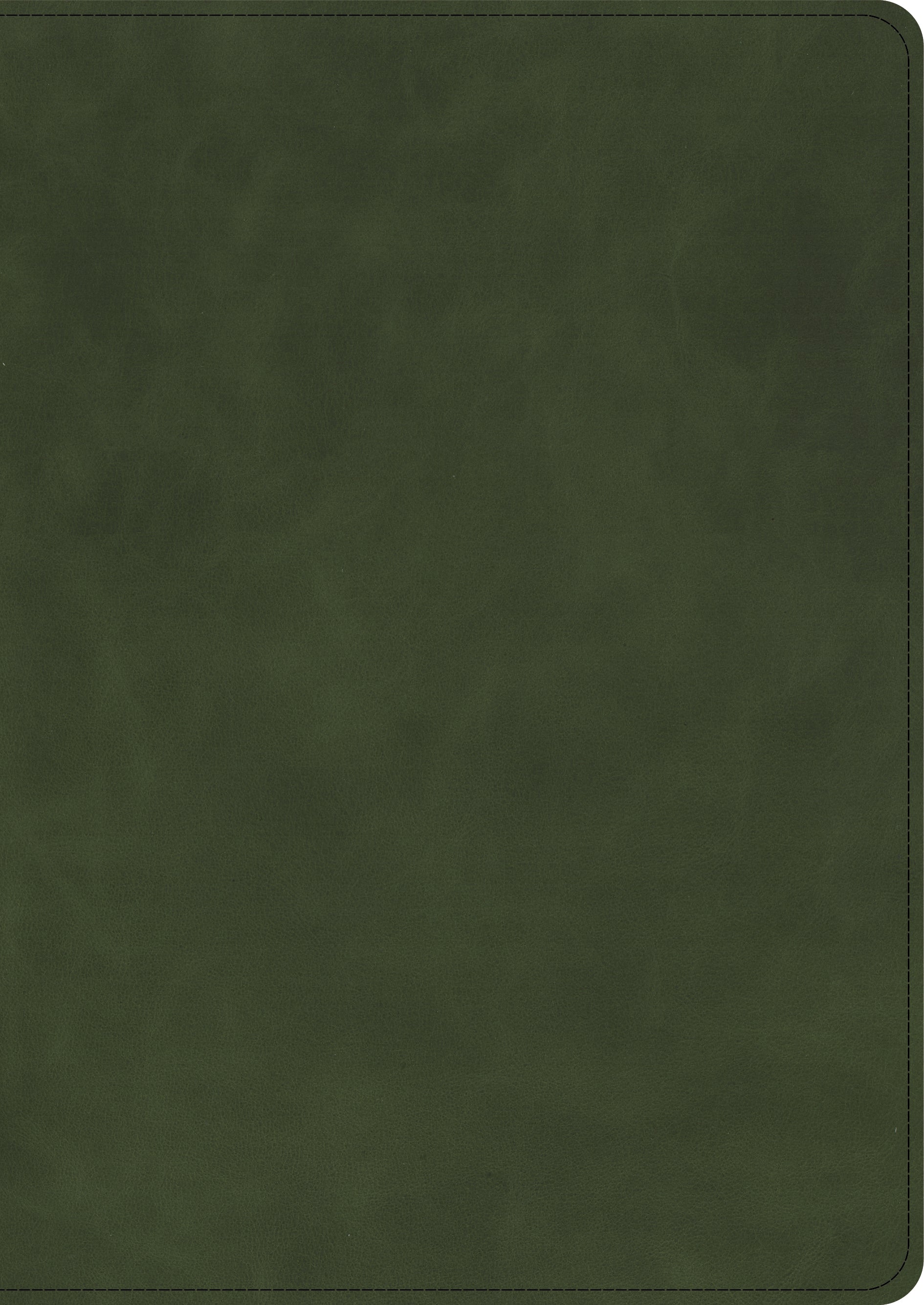 Immerse yourself in luxury with the CSB She Reads Truth Bible, part of the exquisite Holman Handcrafted Collection in Olive.