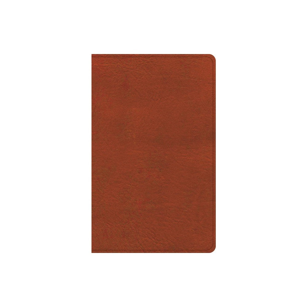 CSB Single-Column Personal Size Reference Bible Burnt Sienna (Black Letter Edition)