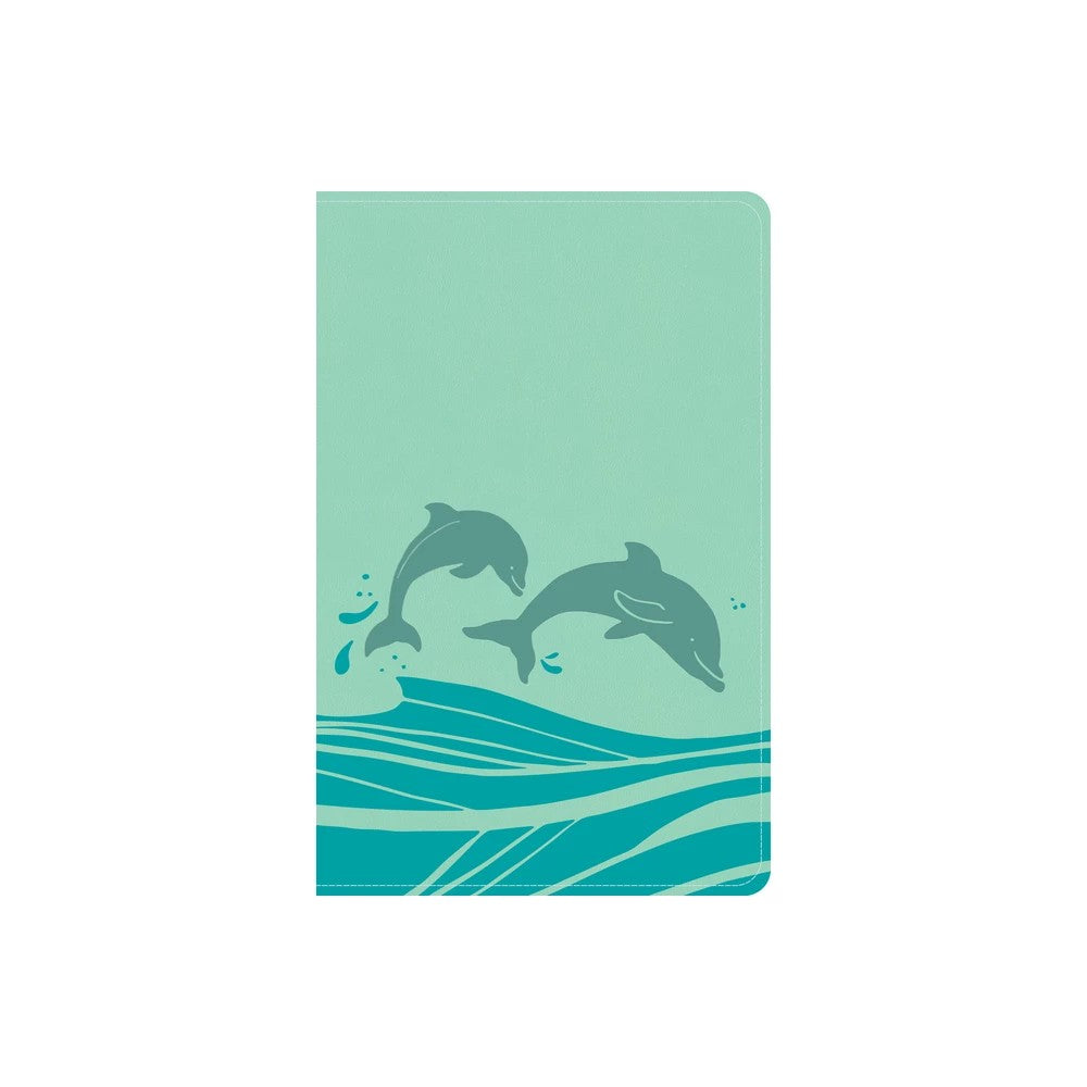King James Version Bible for Early Readers with Large Print and Easy-to-Understand Text in Seafoam Color