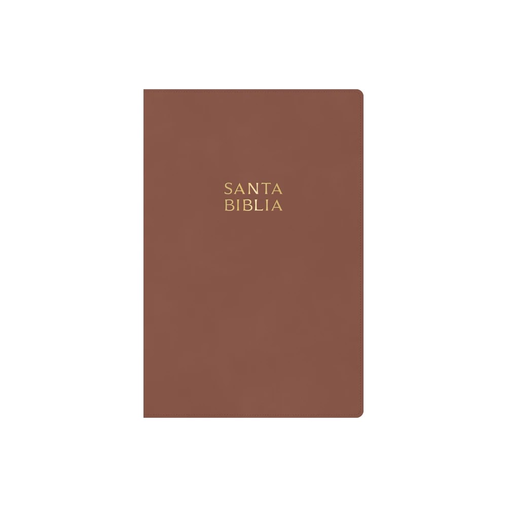 Spanish Edition Bible with Red Letter, NVI, RVR 1960 translation