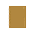Luxury CSB She Reads Truth Notetaking Bible History in premium hardcover with spiral binding