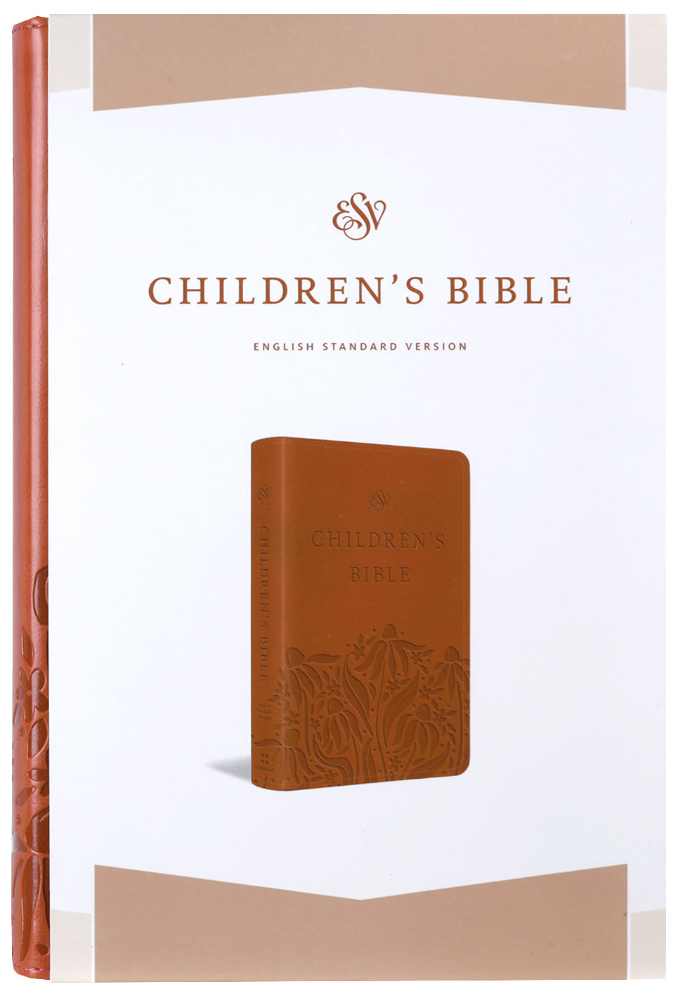 ESV Children's Bible, Coral