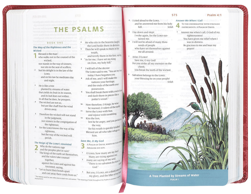 ESV Children's Bible in Coral leather, showcasing its design