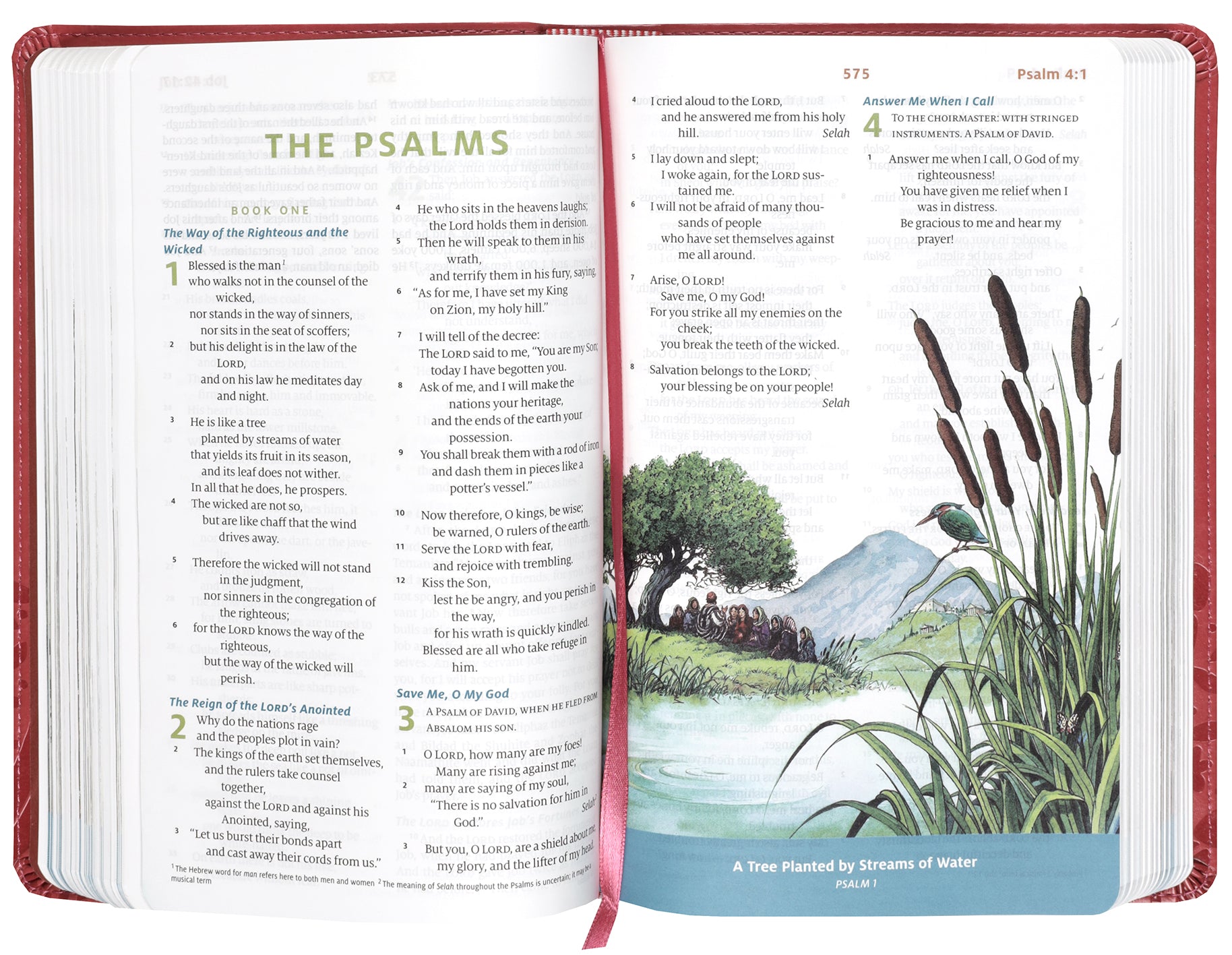 ESV Children's Bible in Coral leather, showcasing its design
