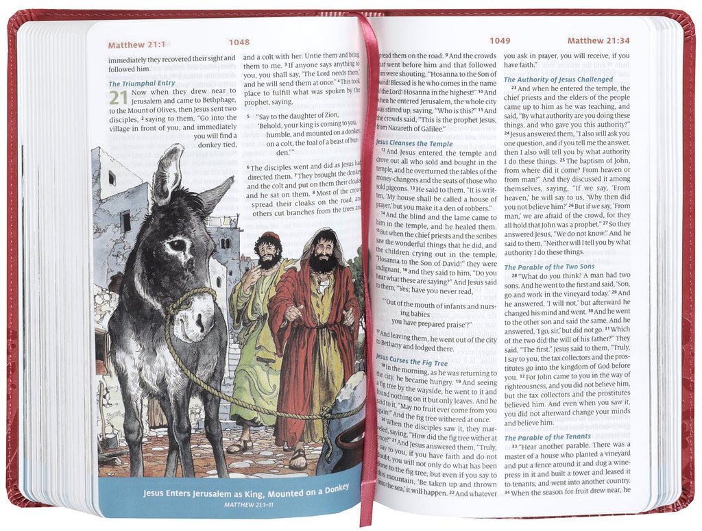 ESV Children's Bible, Coral