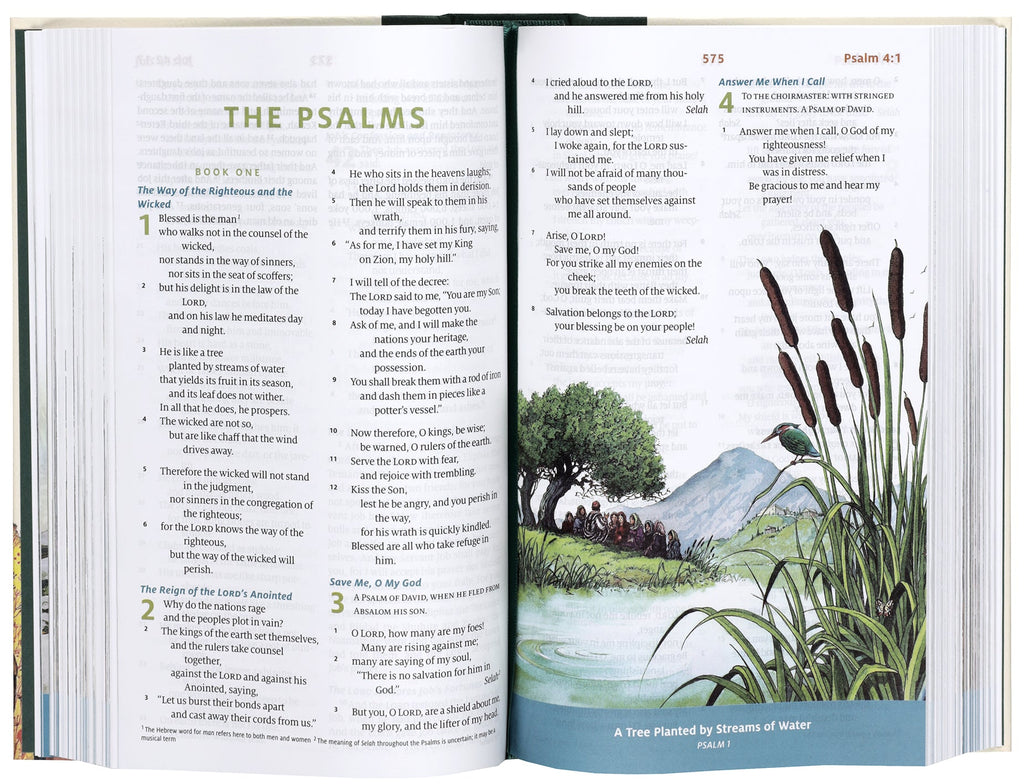 ESV Children's Bible, "Let the Children Come" edition, Bible stories and teachings for kids aged 4-12
