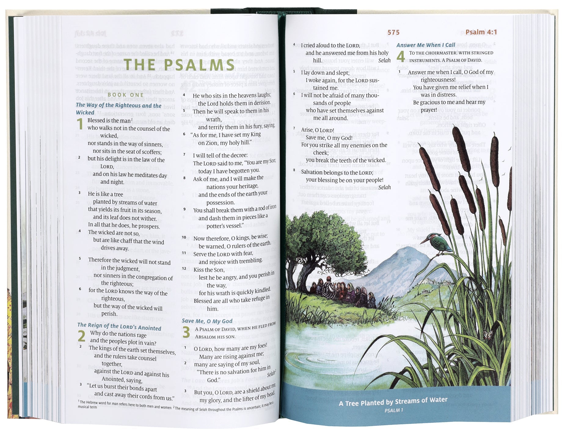 ESV Children's Bible, "Let the Children Come" edition, Bible stories and teachings for kids aged 4-12