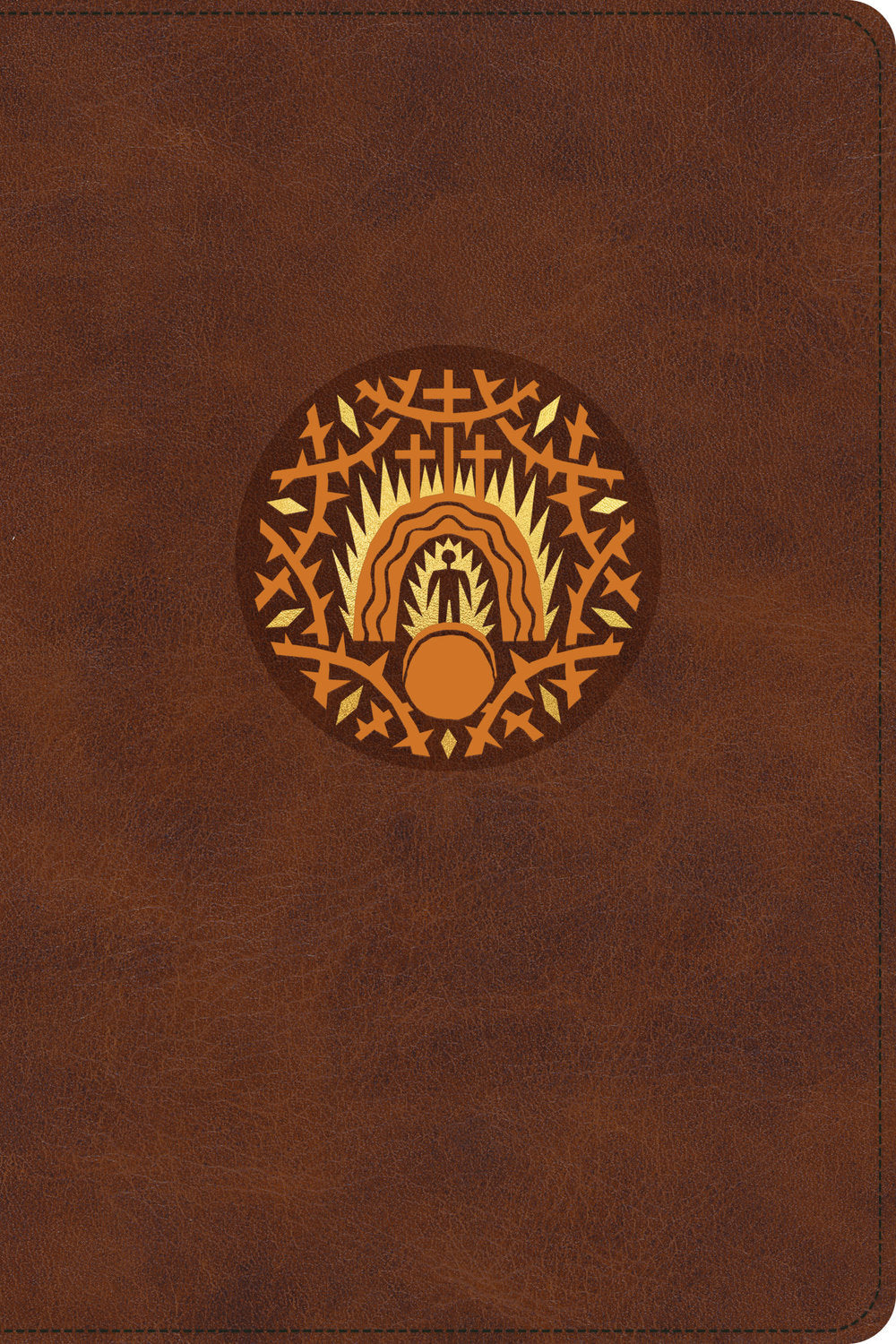 ESV The Biggest Story Holy Bible for Kids in Brown Living Hope Design Indexed Black Letter Edition