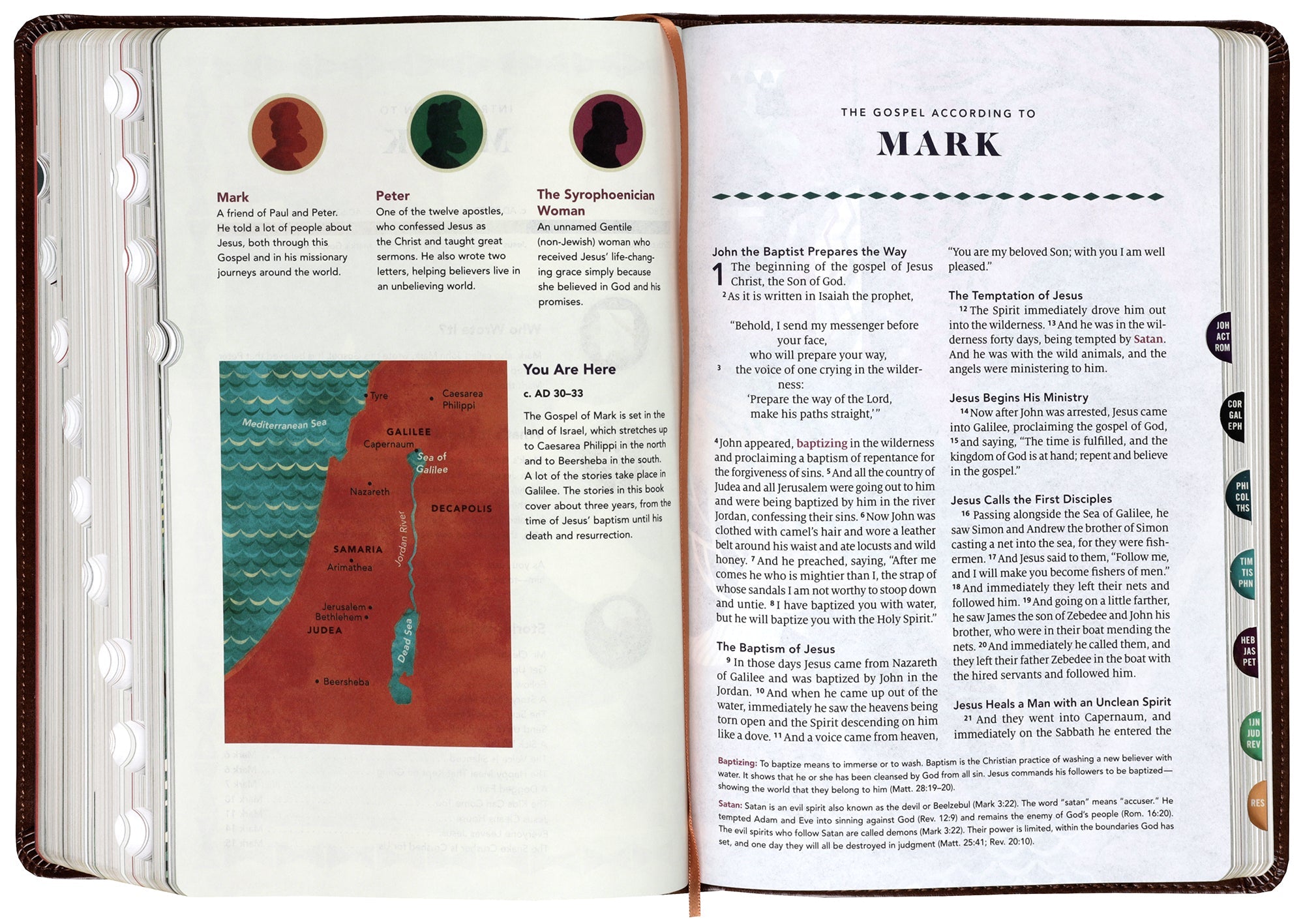 ESV The Biggest Story Holy Bible for Kids in Brown Living Hope Design Indexed Black Letter Edition