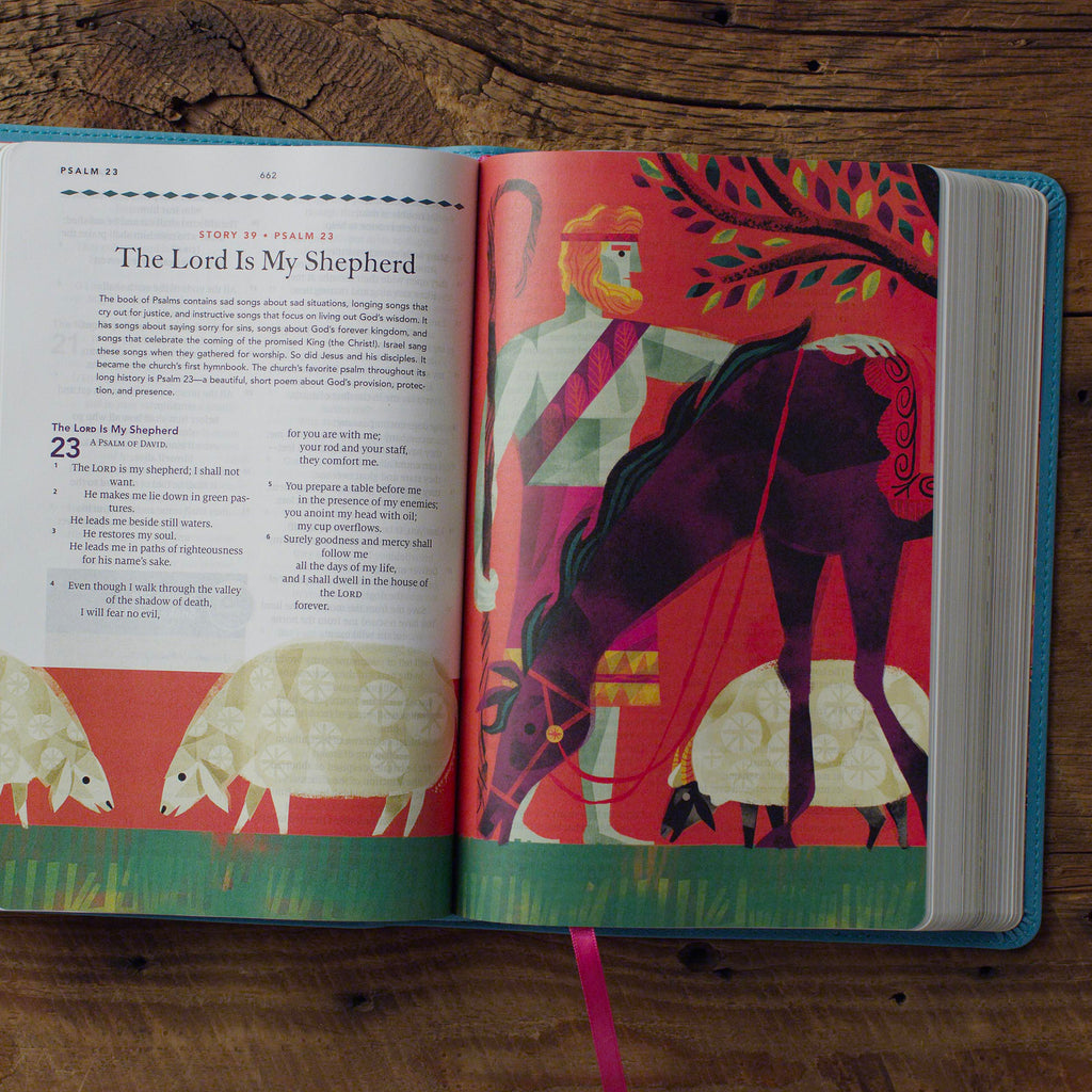 ESV The Biggest Story Holy Bible for Kids in Teal Waterfall Design on a bookshelf