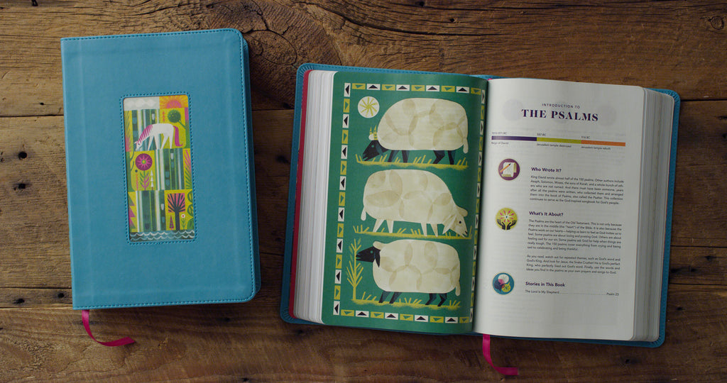 ESV The Biggest Story Holy Bible for Kids Teal, Waterfall Design