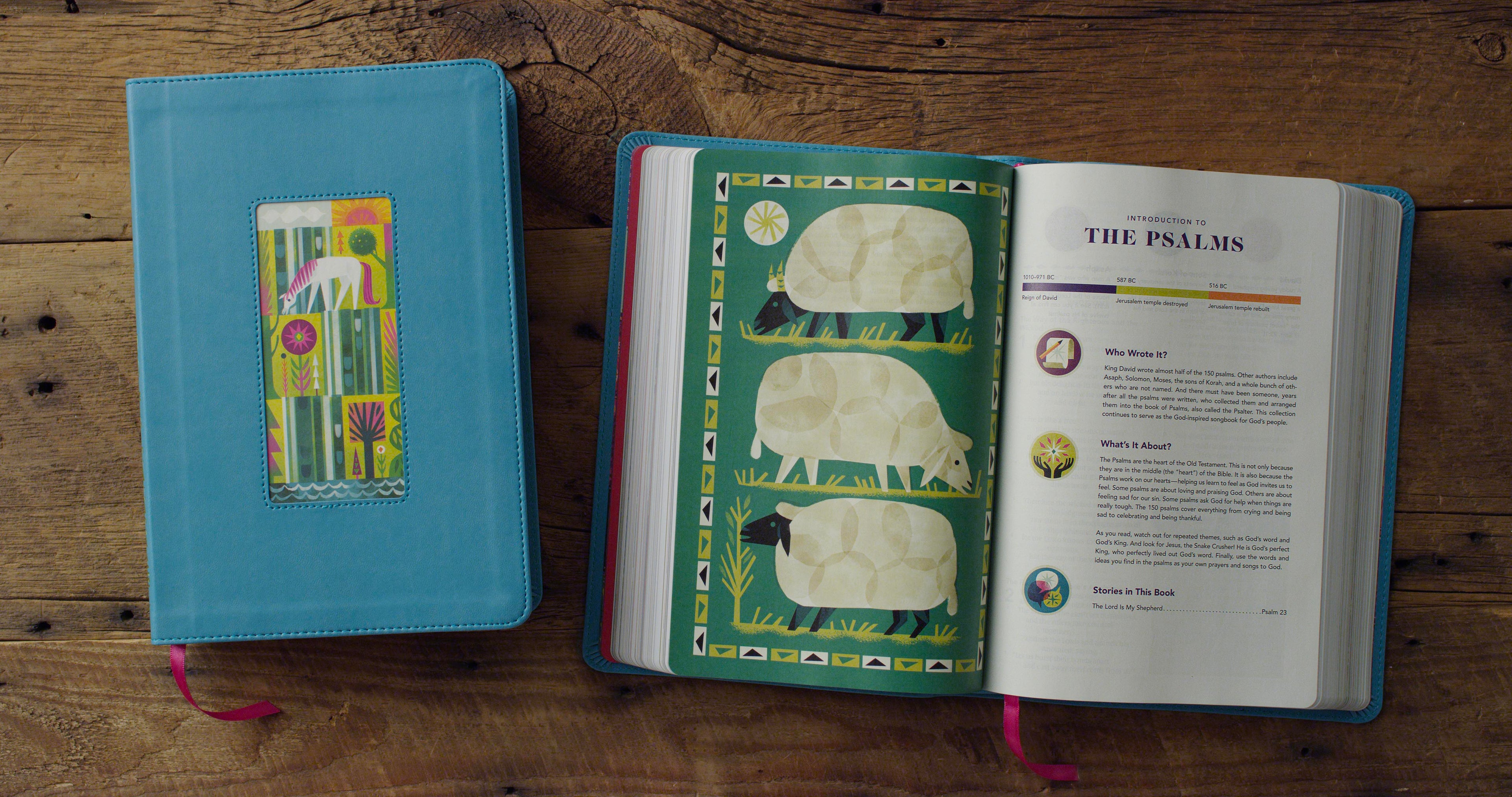ESV The Biggest Story Holy Bible for Kids Teal, Waterfall Design