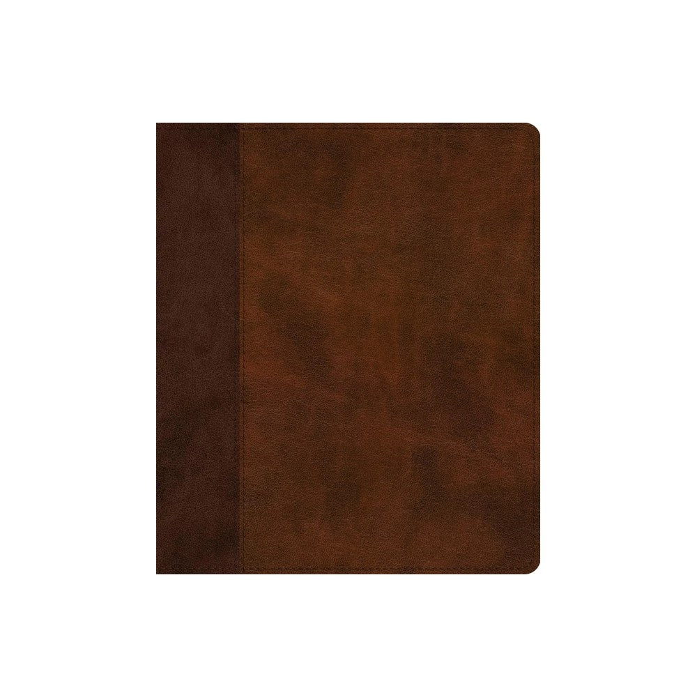 ESV Journaling Bible with timeless design and brown/tan color scheme