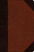 ESV Devotional Journaling Bible with wide margin and writing space for notes and reflection