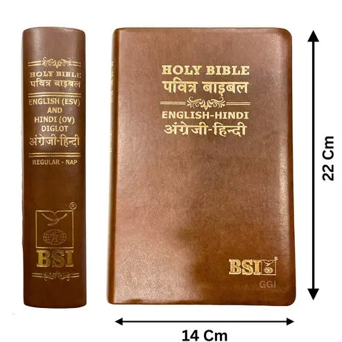 Holy Bible: Hindi-English Bilingual Diglot Edition