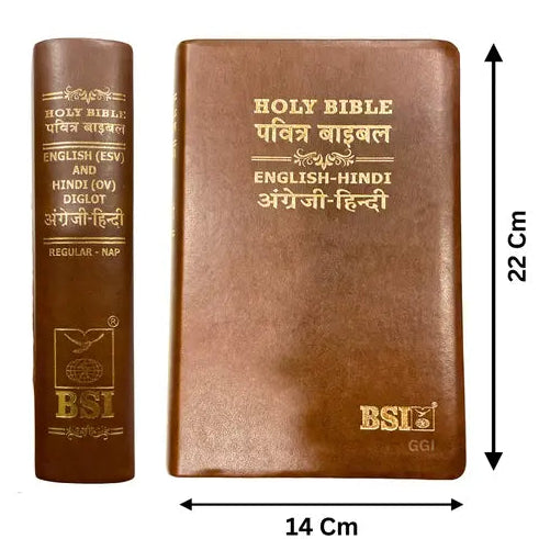 Holy Bible: Hindi-English Bilingual Diglot Edition