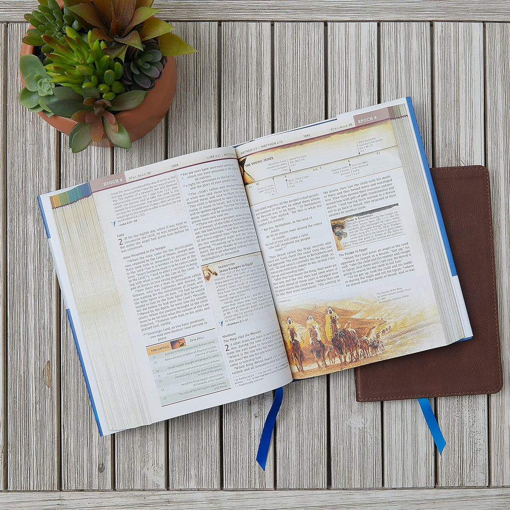Imitation Leather Bound New International Version Chronological Study Bible