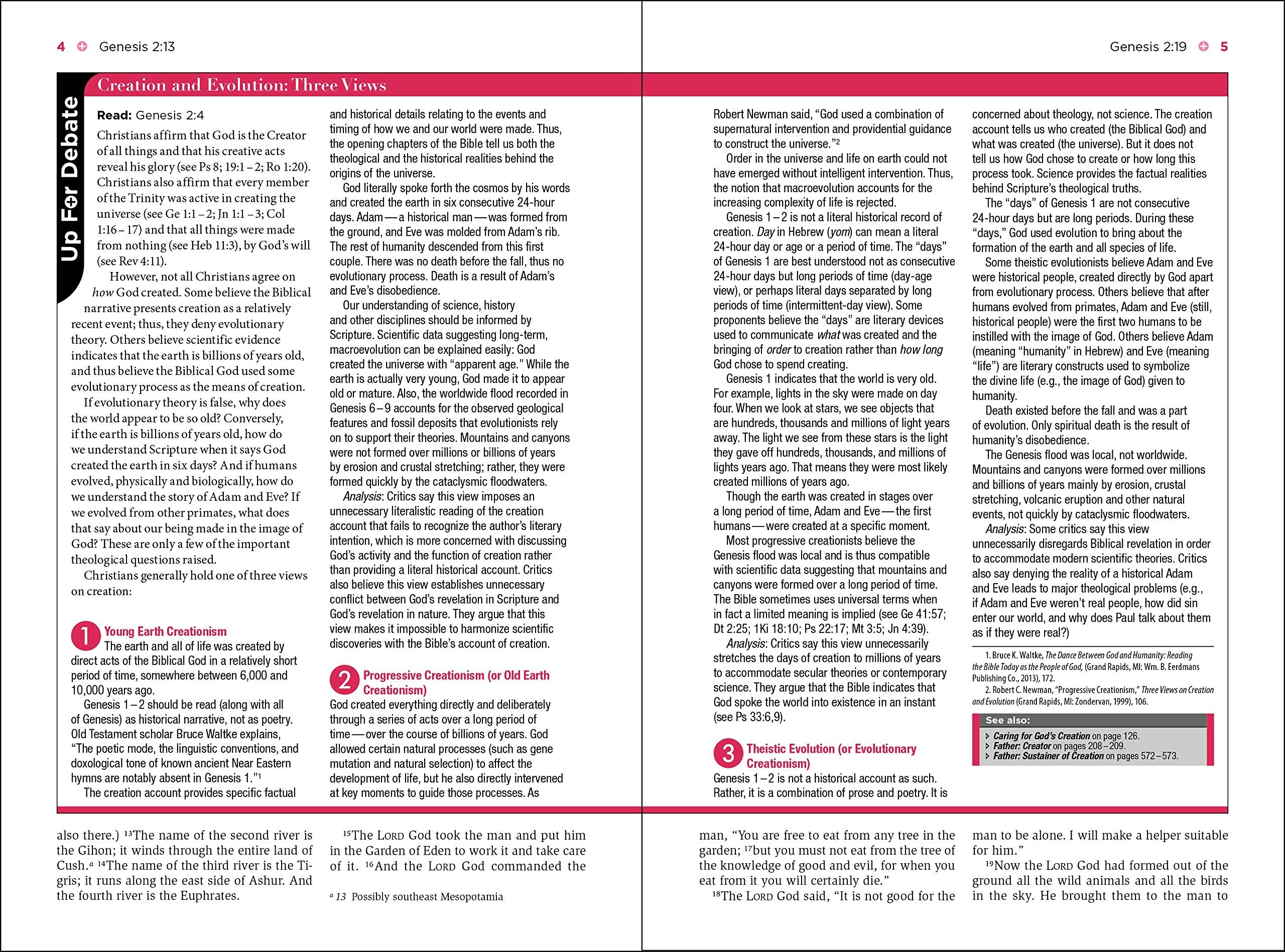 Understand the Faith Study Bible: New International Version, Black/gray, Italian Duo-tone Imitation Leather