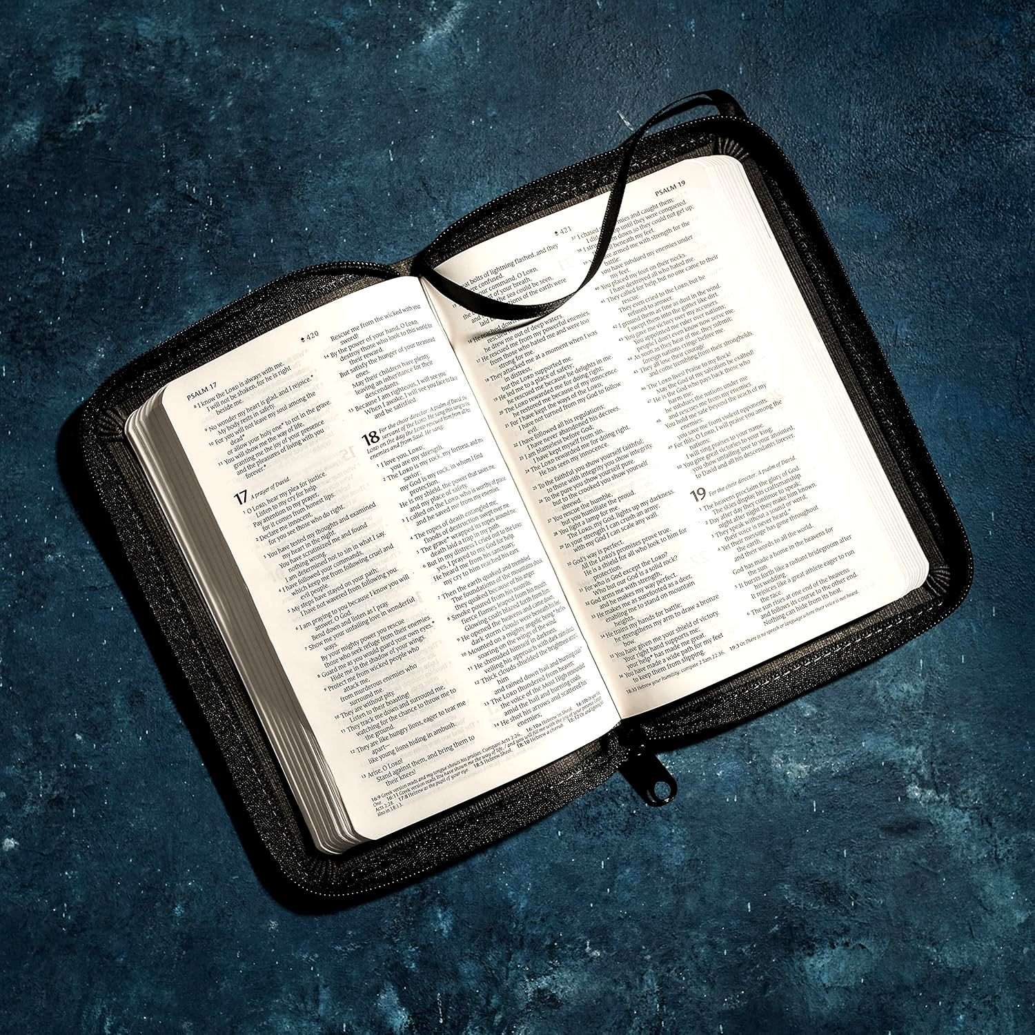 NLT New Living Translation Bible, Compact Size with Zipper Closure, Charcoal Patch Design (ISBN: 9781496455512)