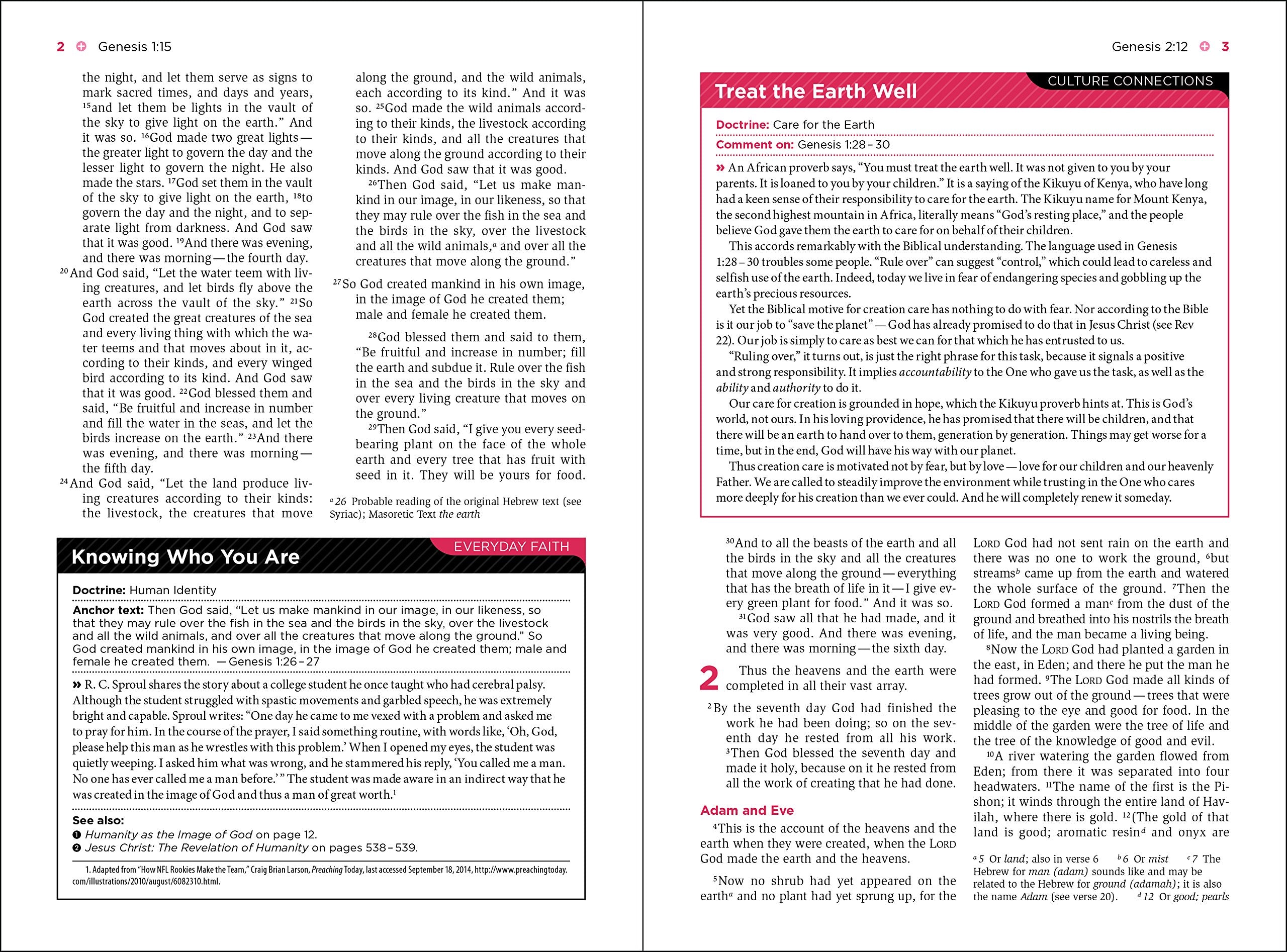 New International Version (NIV), Understand the Faith Study Bible, Leathersoft, Teal: Grounding Your Beliefs in the Truth of Scripture Imitation Leather