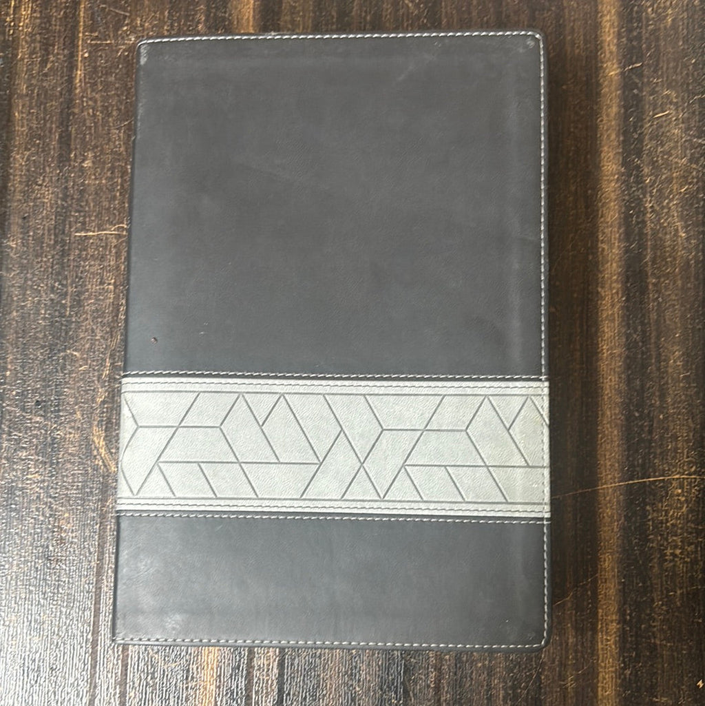 Comfort Print edition of NIV Storyline Bible in Leathersoft Black