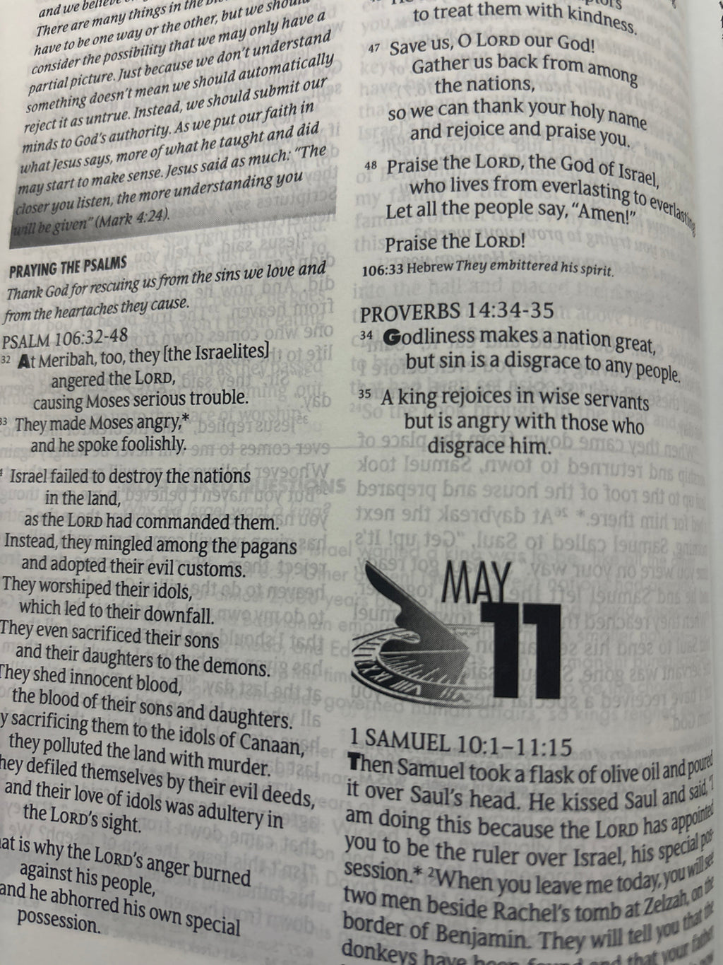 The One Year Study Bible NLT Hardcover–