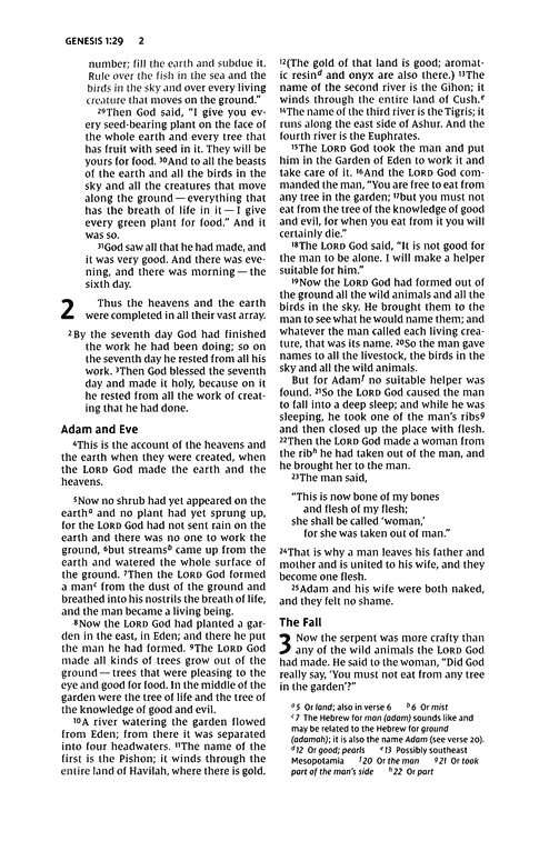 NIV Thinline Bible: Comfort Print Edition, Brown Soft Leather Cover