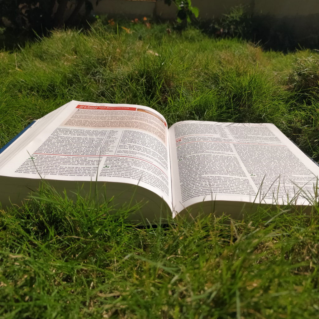 Holy Bible: New International Version, Study Bible, Red Letter (NIV Study Bible, Fully Revised Edition)