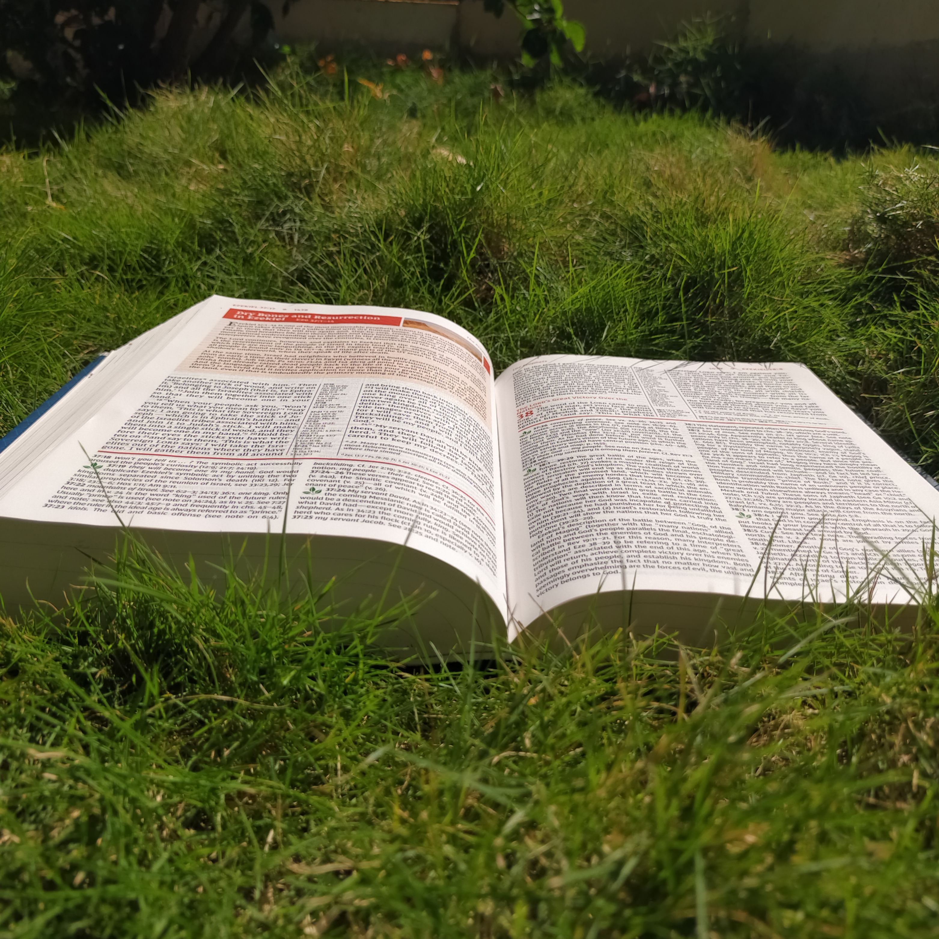 Holy Bible: New International Version, Study Bible, Red Letter (NIV Study Bible, Fully Revised Edition)