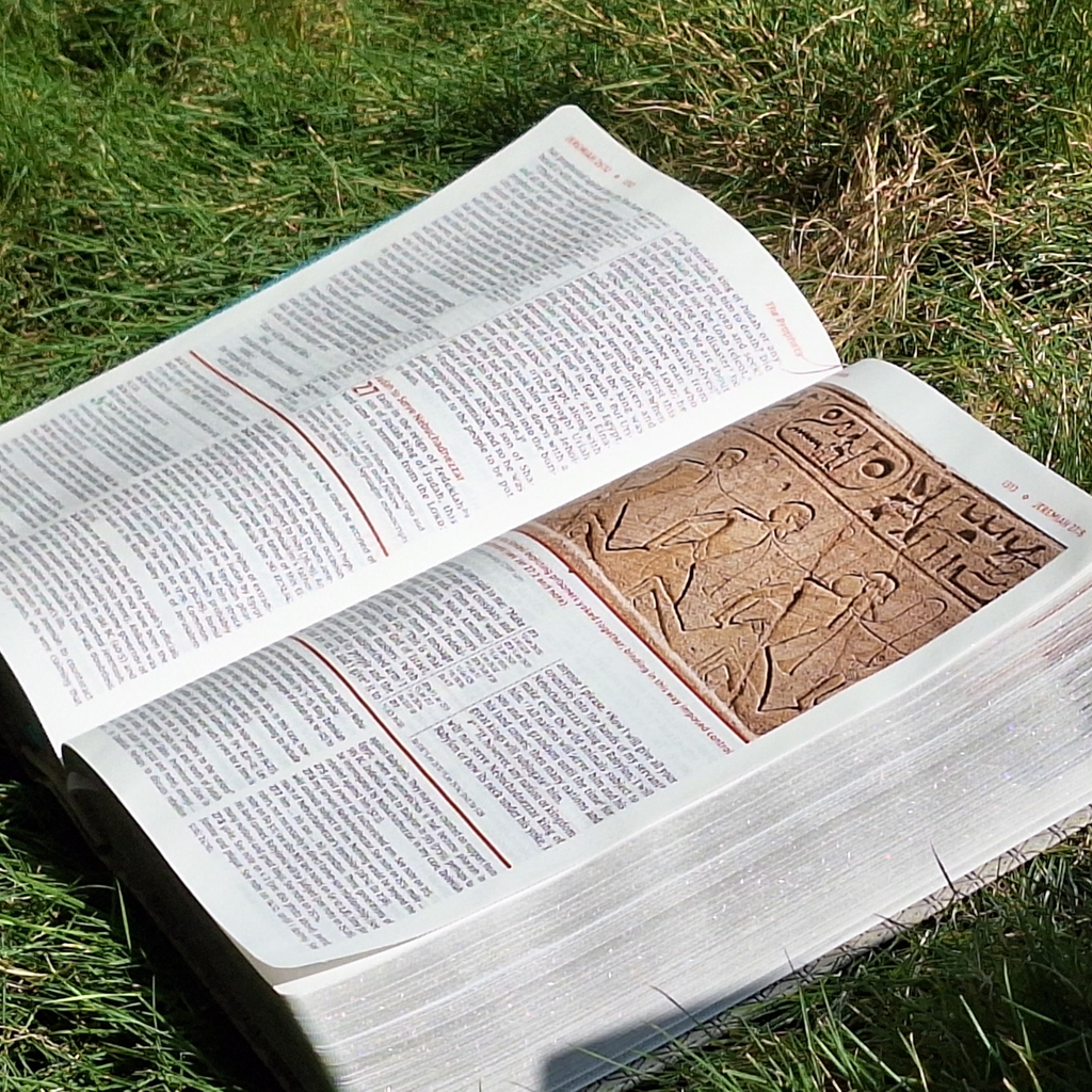 Holy Bible: New International Version, Leathersoft, Comfort Print, Reference (NIV Study Bible, Fully Revised Edition) Imitation Leather – Import