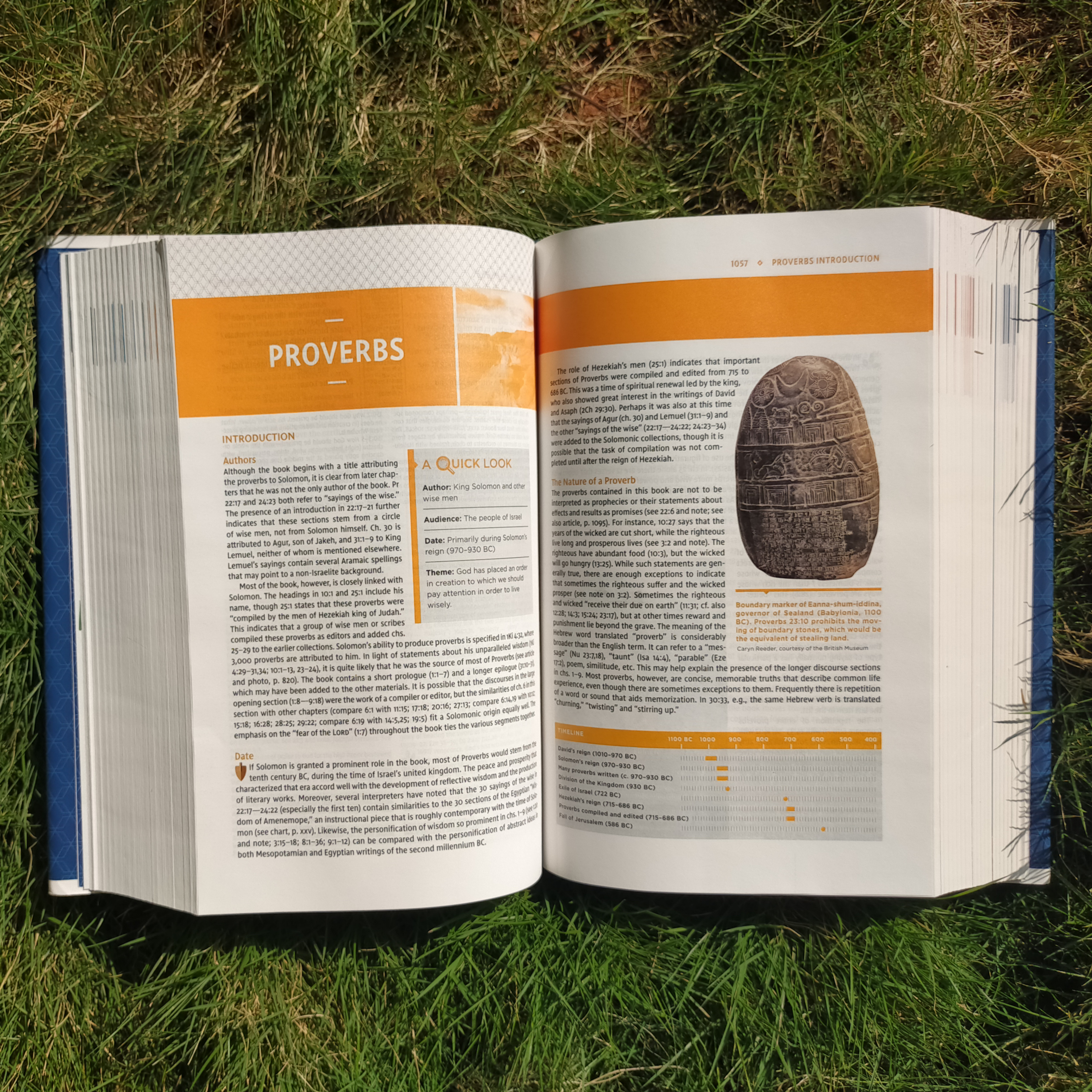 Holy Bible: New International Version, Leathersoft, Comfort Print, Reference (NIV Study Bible, Fully Revised Edition) Imitation Leather – Import
