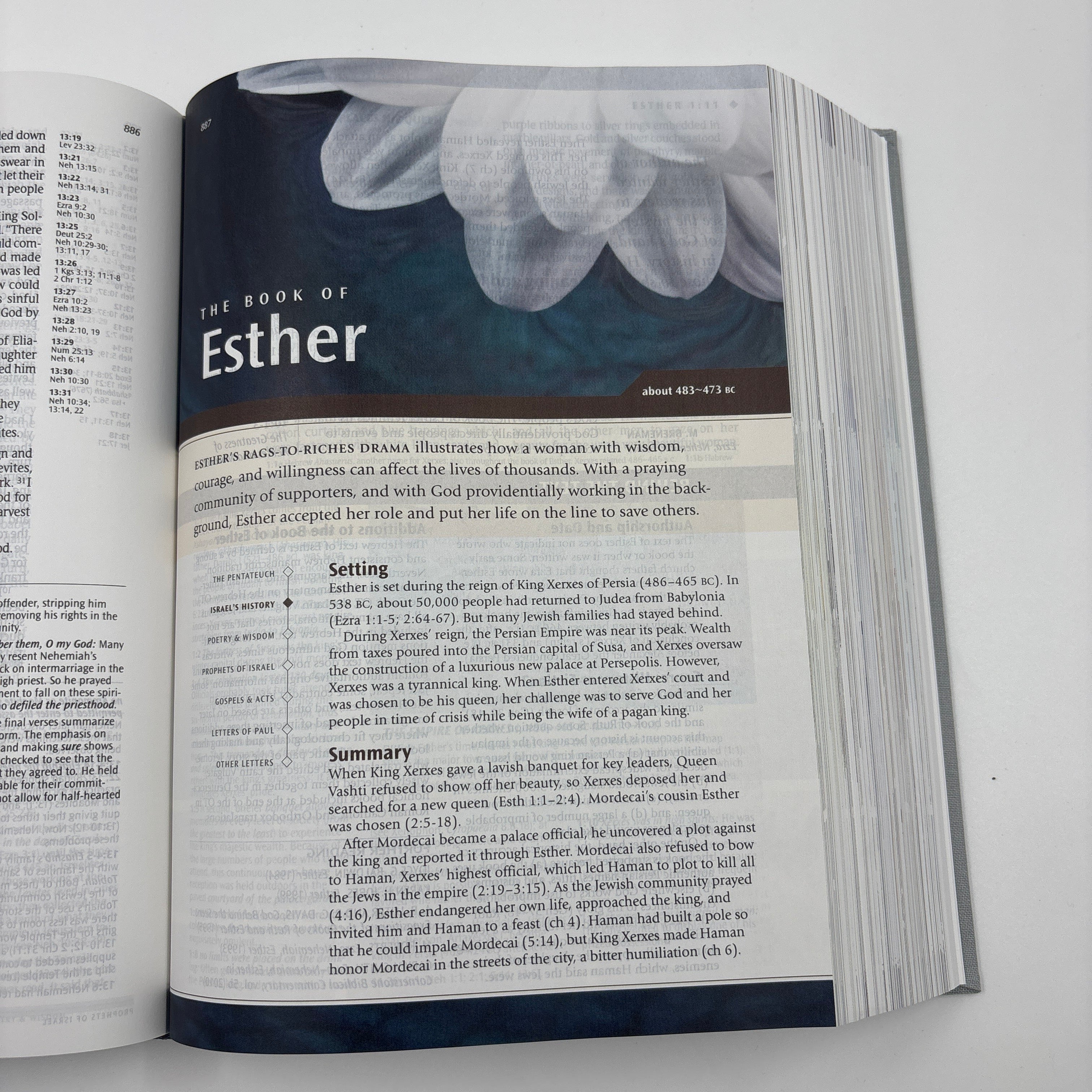 Close-up of NLT Illustrated Study Bible Deluxe Linen Slate Grey