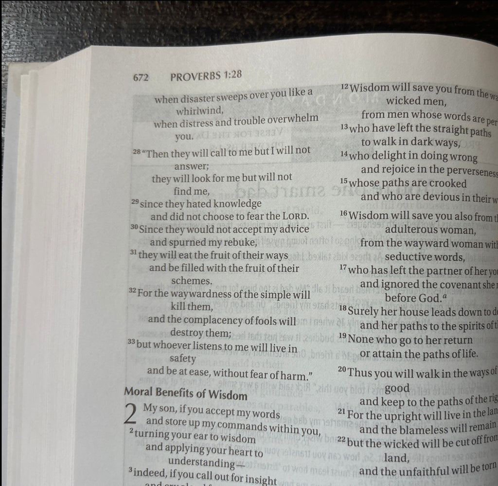 Clearance sale! NIV Dad's Devotional Bible: New International Version Hardcover