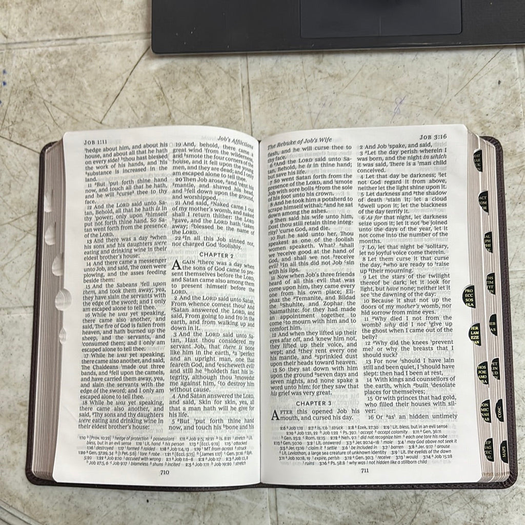 KJV, Personal Size Large Print Reference Bible, Vintage Series,Brown Leathersoft, Red Letter, Comfort Print: Holy Bible, King James Version Imitation Leather – Large Print