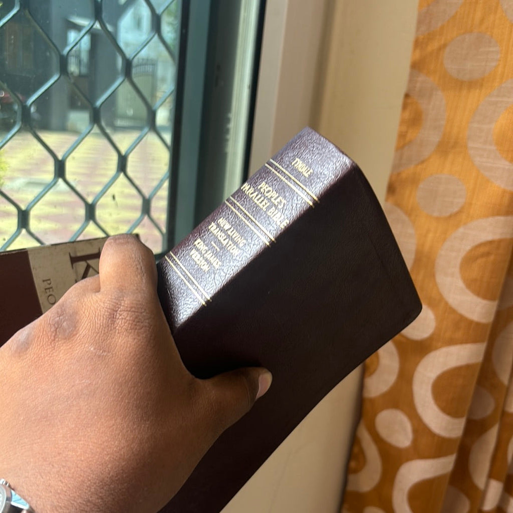 Clearance sale 2024! KJV/NLT Bible People's Parallel Edition – Import,